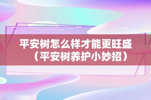 平安树怎么样才能更旺盛（平安树养护小妙招）