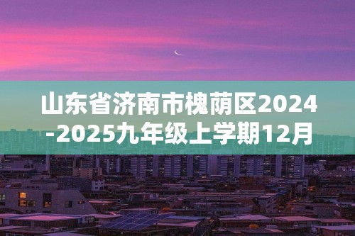 山东省济南市槐荫区2024-2025九年级上学期12月化学月考试题（图片版含答案）