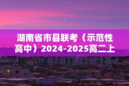 湖南省市县联考（示范性高中）2024-2025高二上学期12月月考化学试题（答案）