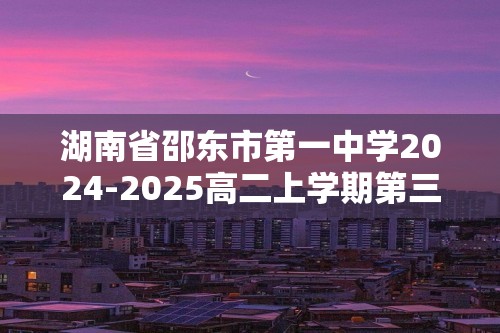 湖南省邵东市第一中学2024-2025高二上学期第三次月考化学试题（答案）