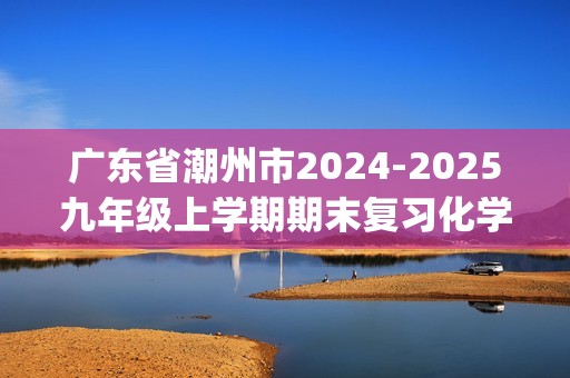 广东省潮州市2024-2025九年级上学期期末复习化学卷（1-8单元）(答案)