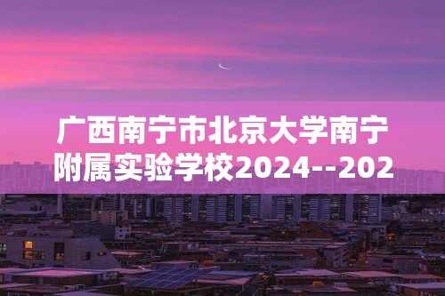 广西南宁市北京大学南宁附属实验学校2024--2025九年级上学期12月月考化学试卷（图片版无答案）