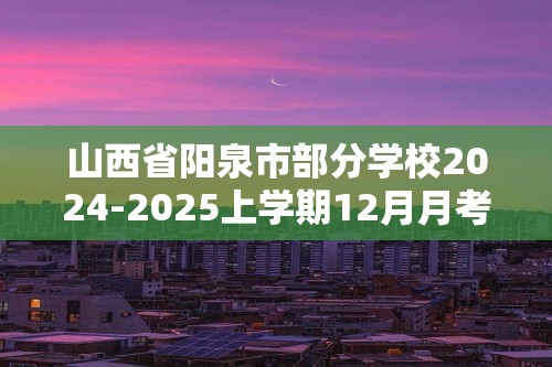 山西省阳泉市部分学校2024-2025上学期12月月考九年级化学试卷（答案）