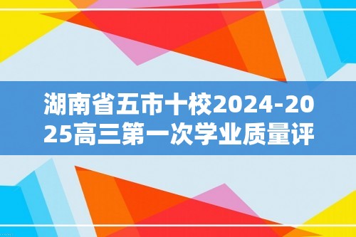 湖南省五市十校2024-2025高三第一次学业质量评价化学试卷（答案）