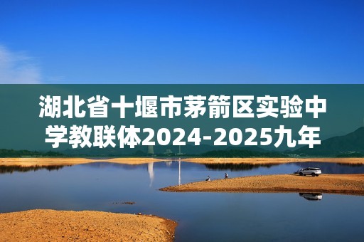 湖北省十堰市茅箭区实验中学教联体2024-2025九年级上学期12月月考化学试题（无答案）