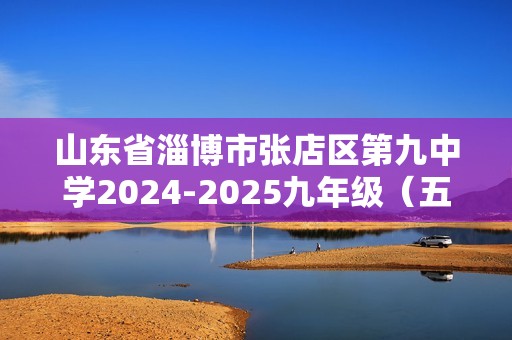 山东省淄博市张店区第九中学2024-2025九年级（五四学制）上学期12月月考化学试题（图片版含答案）