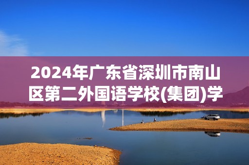 2024年广东省深圳市南山区第二外国语学校(集团)学府中学中考四模化学试卷