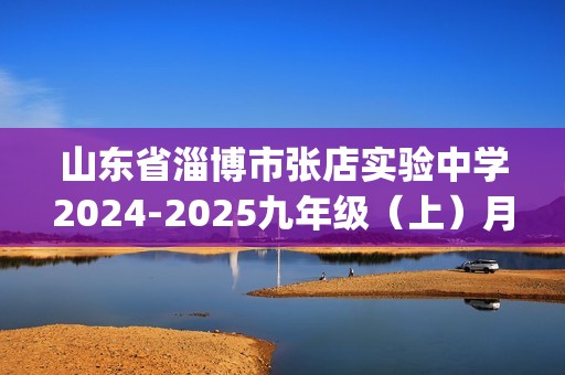 山东省淄博市张店实验中学2024-2025九年级（上）月考化学试卷（12月份）(含答案）