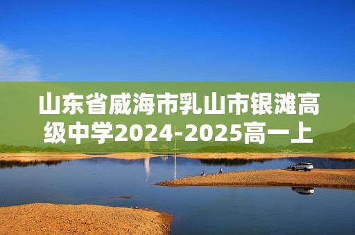 山东省威海市乳山市银滩高级中学2024-2025高一上学期12月月考 化学试题（答案）