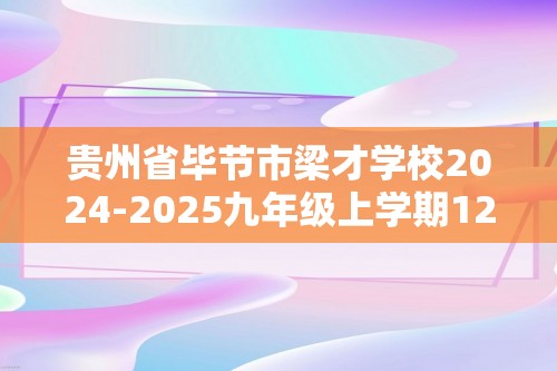 贵州省毕节市梁才学校2024-2025九年级上学期12月定时训练化学试题（图片版无答案）