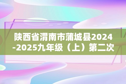 陕西省渭南市蒲城县2024-2025九年级（上）第二次段考化学试卷（答案）