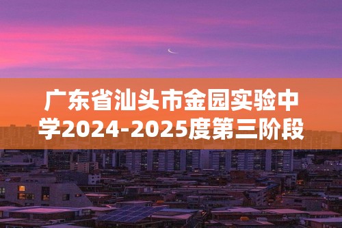 广东省汕头市金园实验中学2024-2025度第三阶段考试卷九年级化学（答案）