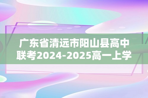 广东省清远市阳山县高中联考2024-2025高一上学期11月月考试题 化学（答案）