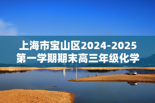 上海市宝山区2024-2025第一学期期末高三年级化学试题（答案）