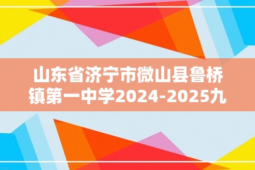 山东省济宁市微山县鲁桥镇第一中学2024-2025九年级上学期12月月考化学试题（图片版无答案）