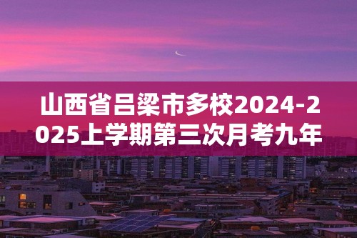 山西省吕梁市多校2024-2025上学期第三次月考九年级化学试卷（图片版 含答案）