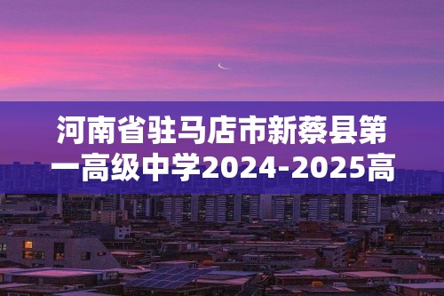 河南省驻马店市新蔡县第一高级中学2024-2025高二上学期12月月考化学试题（图片版含答案）