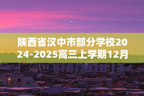 陕西省汉中市部分学校2024-2025高三上学期12月联考化学试卷（答案）