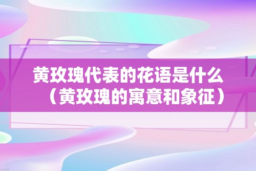 黄玫瑰代表的花语是什么（黄玫瑰的寓意和象征）