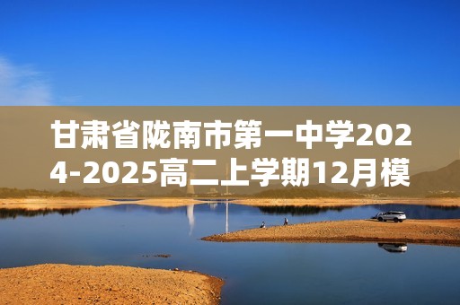 甘肃省陇南市第一中学2024-2025高二上学期12月模拟检测化学试题（答案）