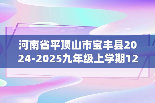 河南省平顶山市宝丰县2024-2025九年级上学期12月考试化学试题(图片版,含答案)