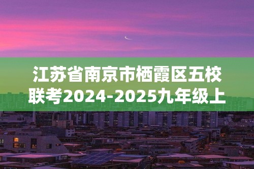 江苏省南京市栖霞区五校联考2024-2025九年级上学期12月月考化学试题（图片版含答案）