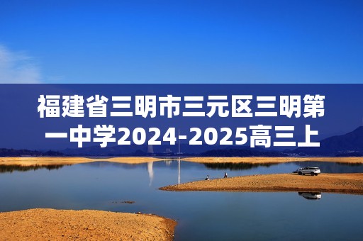 福建省三明市三元区三明第一中学2024-2025高三上学期12月月考化学试题（答案）