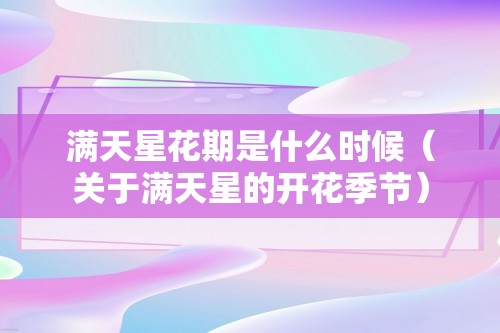 满天星花期是什么时候（关于满天星的开花季节）