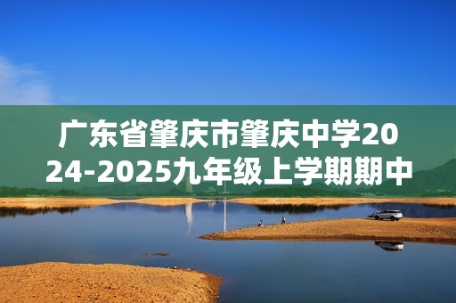 广东省肇庆市肇庆中学2024-2025九年级上学期期中考试化学试题