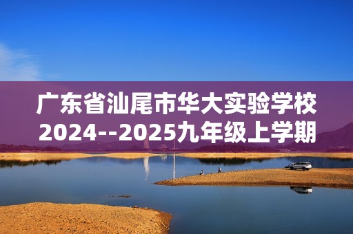 广东省汕尾市华大实验学校2024--2025九年级上学期期中考试化学试卷