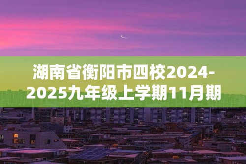 湖南省衡阳市四校2024-2025九年级上学期11月期中考试化学试题