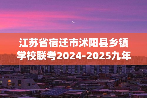 江苏省宿迁市沭阳县乡镇学校联考2024-2025九年级上学期12月月考化学试题(图片版,含答案)