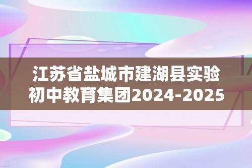 江苏省盐城市建湖县实验初中教育集团2024-2025九年级上学期12月月考化学试题（无答案）