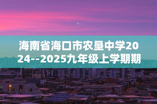 海南省海口市农垦中学2024--2025九年级上学期期末化学模拟考试（答案）