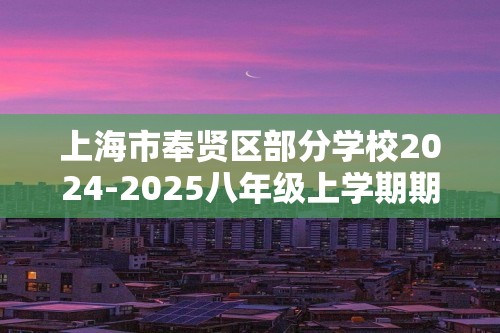 上海市奉贤区部分学校2024-2025八年级上学期期中练习化学试卷