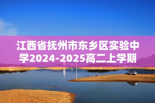 江西省抚州市东乡区实验中学2024-2025高二上学期12月月考化学试题（答案）