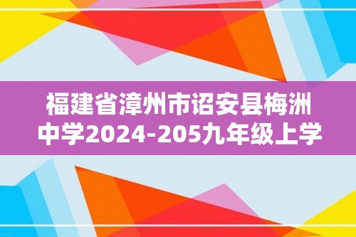 福建省漳州市诏安县梅洲中学2024-205九年级上学期第二次月考化学试题（图片版含答案）