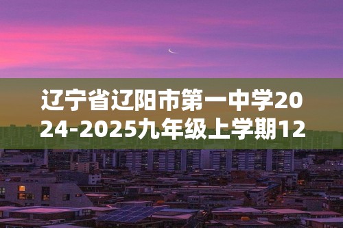 辽宁省辽阳市第一中学2024-2025九年级上学期12月月考化学试题（答案）