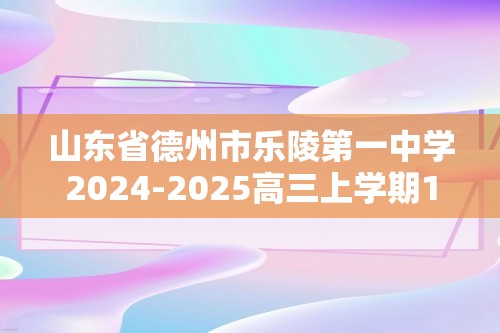 山东省德州市乐陵第一中学2024-2025高三上学期12月月考化学试题（答案）