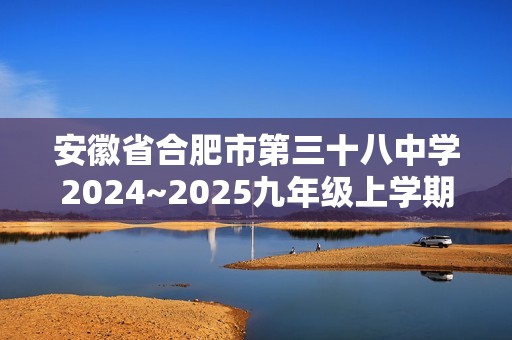 安徽省合肥市第三十八中学2024~2025九年级上学期化学期末模拟试题（答案）