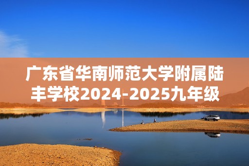 广东省华南师范大学附属陆丰学校2024-2025九年级上学期期中化学试卷