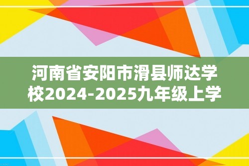 河南省安阳市滑县师达学校2024-2025九年级上学期12月月考化学试题（答案）