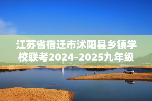 江苏省宿迁市沭阳县乡镇学校联考2024-2025九年级上学期12月月考化学试题（答案）