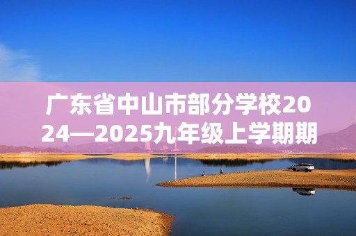 广东省中山市部分学校2024—2025九年级上学期期中联考化学试卷