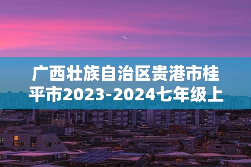 广西壮族自治区贵港市桂平市2023-2024七年级上学期期末数学试题