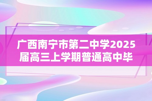 广西南宁市第二中学2025届高三上学期普通高中毕业班摸底测试 化学试卷（含解析）