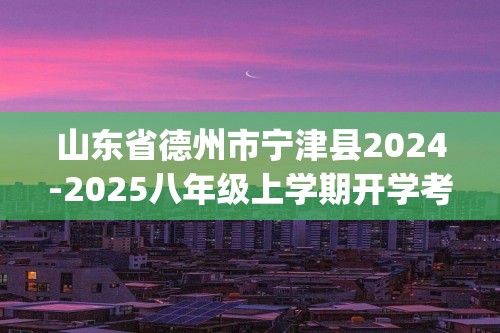 山东省德州市宁津县2024-2025八年级上学期开学考试数学试题(含答案)