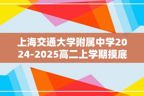 上海交通大学附属中学2024-2025高二上学期摸底测试 化学试题（无答案）