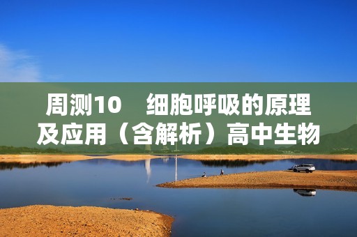 周测10　细胞呼吸的原理及应用（含解析）高中生物学人教版（2019）必修1