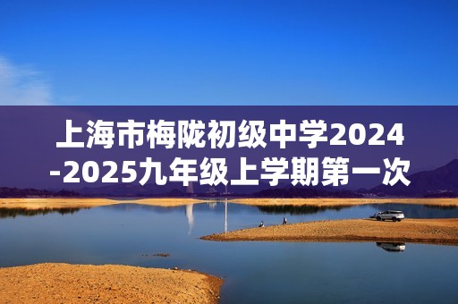 上海市梅陇初级中学2024-2025九年级上学期第一次适应性练习化学试卷（图片版无答案）